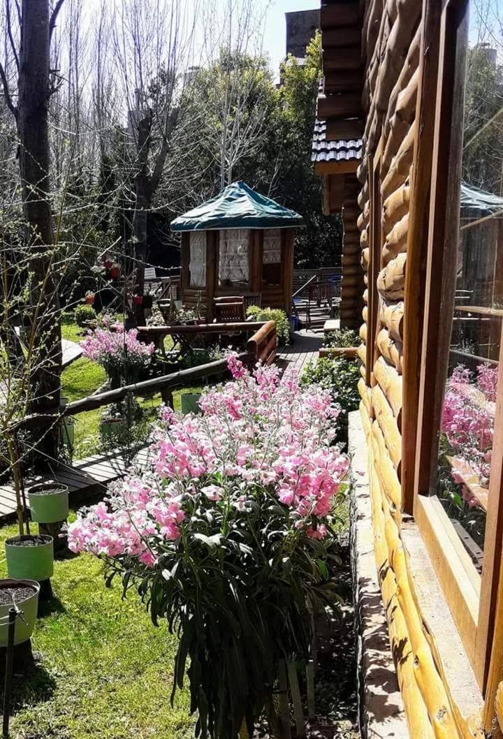 Tehuel Lodge *